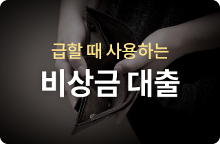 비상금 대출